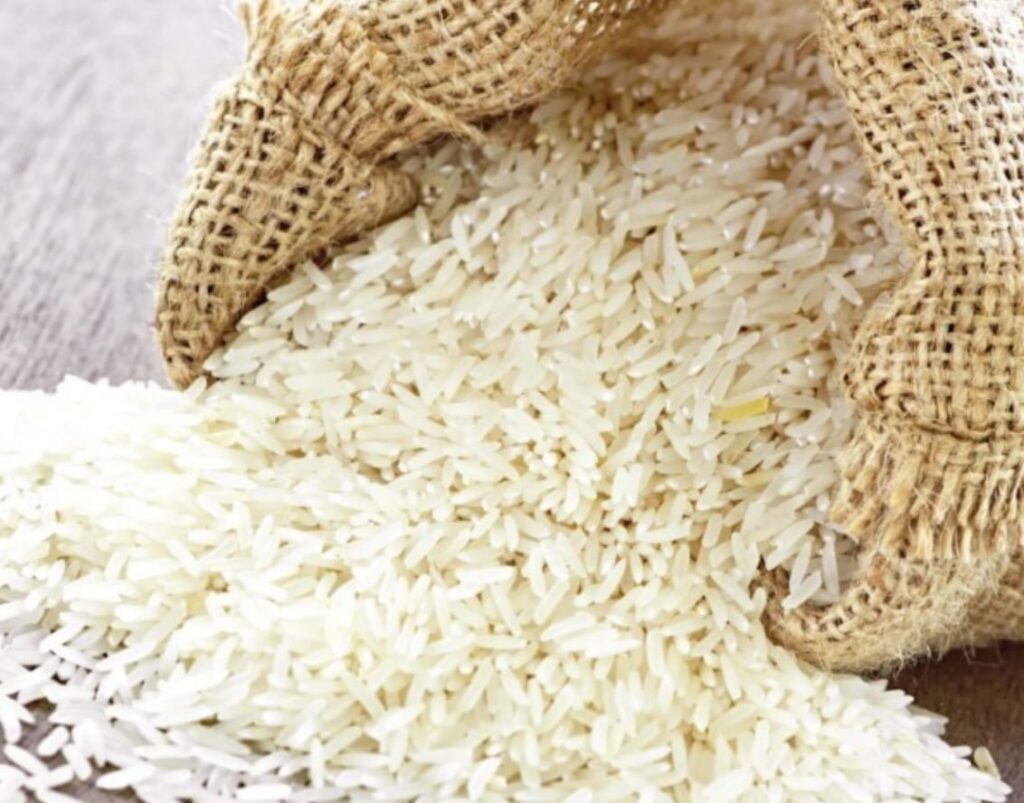 Golden Grain of Joha Rice